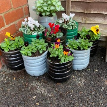 Upcycling Project